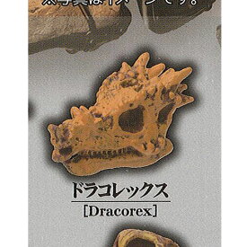 楽天市場 恐竜 ガチャの通販