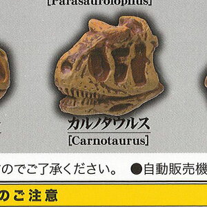 ɂ̋W 23000NOŌNƉ 9FJm^EX G[ K`| K`K` KV|