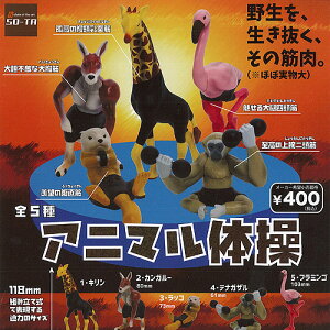 Aj} ̑ S5+fBXvC䎆Zbg SO-TA tBMA K`| K`K` Rv[g