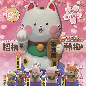 COfUCi[V[Y vς!  S5Zbg p[gi[gCY K`| K`K` Rv[g