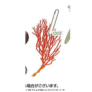 lC`[eNjJ[ MONO PLUS ׂ݂̂ }Olbg{[`F[ 2 8FC\oi()  K`| K`K` KV|