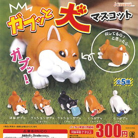 楽天市場 ガチャガチャ 犬の通販