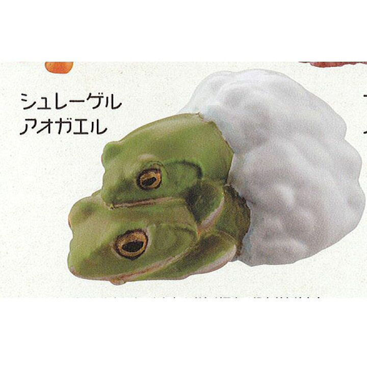 楽天市場 カプセルq ミュージアム 財布にカエル お財布蛙 2 4 シュレーゲルアオガエル 海洋堂 ガチャポン ガチャガチャ ガシャポン 遊you 楽天市場店