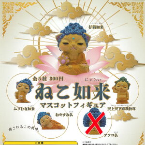 ˂ @ }XRbg tBMA / 4Zbg Qualia L K`| K`K` KV|