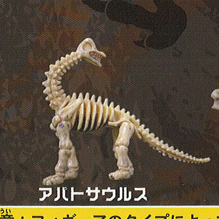 楽天市場 大恐竜 骨格辞典 コレクション フィギュア 初版 8 アパトサウルス ビーム ガチャポン ガチャガチャ ガシャポン 遊you 楽天市場店 楽天市場 大恐竜 骨格辞典 コレクション フィギュア 初版 8 アパトサウルス ビーム ガチャポン ガチャガチャ ガシャポン 遊you 楽天市場店