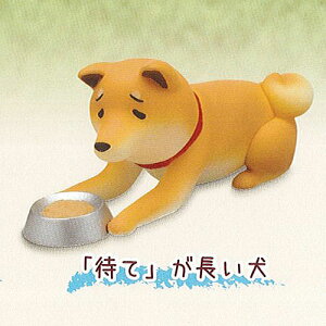 柴犬 ガチャガチャ その他のおもちゃの人気商品 通販 価格比較 価格 Com