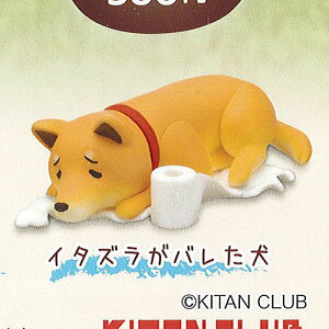 柴犬 ガチャガチャ その他のおもちゃの人気商品 通販 価格比較 価格 Com