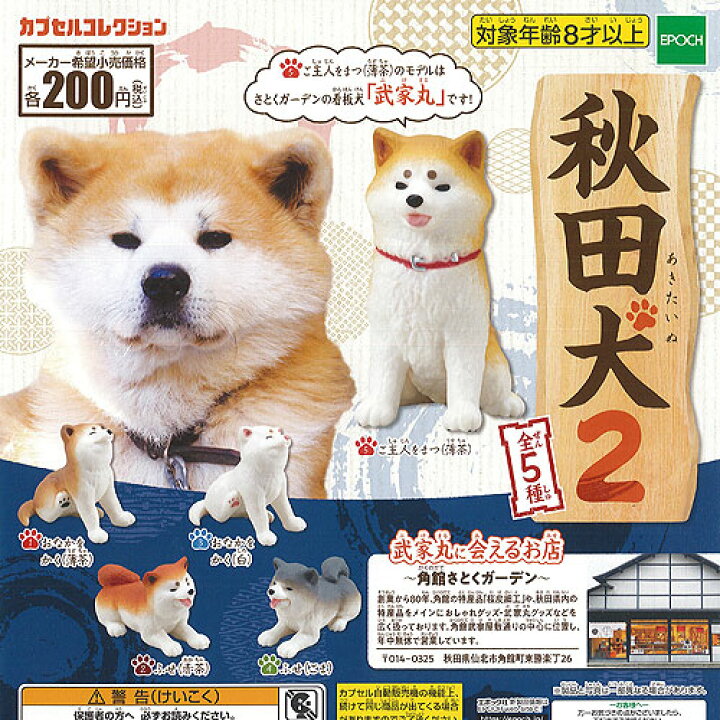 楽天市場 秋田犬 2 全5種セット エポック社 ミニチュア フィギュア ガチャポン ガチャガチャ ガシャポン 遊you 楽天市場店