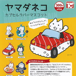 }_lR JvZ o[ }XRbg S6Zbg gCYLr K`| K`K` Rv[g