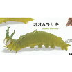 楽天市場 イモムシの通販