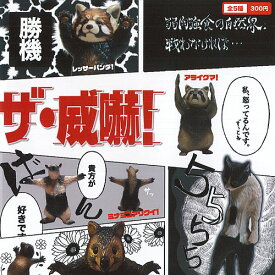 楽天市場 威嚇 レッサーパンダの通販