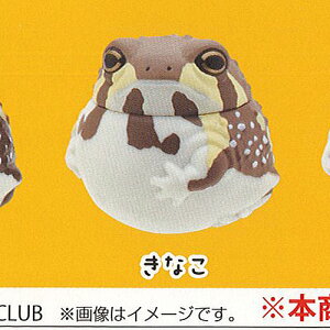 ӂ  tNKG 2FȂ 权Nu K`| K`K` KV|