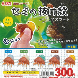 楽天市場 きもかわの通販