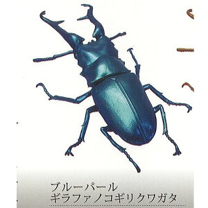 1/1 Mt@ mRM NK^ 1Fu[p[Mt@mRMNK^ SO-TA K`| K`K` KV|