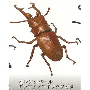 1/1 Mt@ mRM NK^ 2FIWp[Mt@mRMNK^ SO-TA K`| K`K` KV|