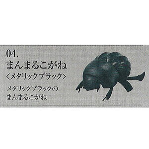 おもちゃ ガチャ だんごむしの人気商品 通販 価格比較 価格 Com