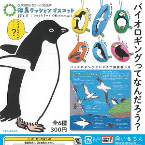 A[gjueNjJ[ C NbV }XRbg S6+fBXvC䎆Zbg  K`| K`K` Rv[g