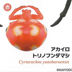 JvZQ ~[WA { w Xgbv RNV NR 4FAJCgmt_}V  Cm K`| K`K` KV|