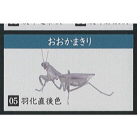 楽天市場 カマキリの通販