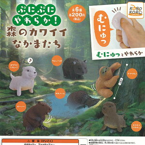 ՂɂՂ 炩 X JCC Ȃ܂ S6+fBXvC䎆Zbg ACs[tH[ K`| K`K` Rv[g