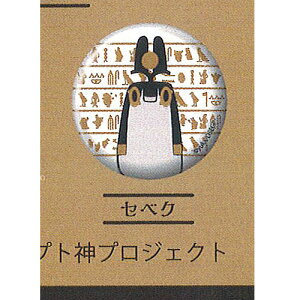 Ɓ[Ƃ GWvg_ ʃobW 1e 13FZxN Gthbgn[g K`| K`K` KV|