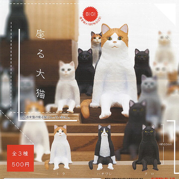 楽天市場 座る 大猫 全3種 ディスプレイ台紙セット 奇譚クラブ ねこ ガチャポン ガチャガチャ ガシャポン 遊you 楽天市場店 楽天市場 座る 大猫 全3種 ディスプレイ台紙セット 奇譚クラブ ねこ ガチャポン ガチャガチャ ガシャポン 遊you 楽天市場店