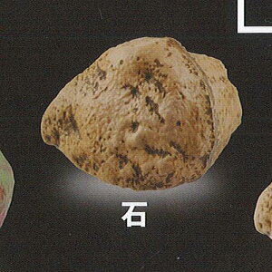 TAMA-KYU  5F uV[h K`| K`K` KV|