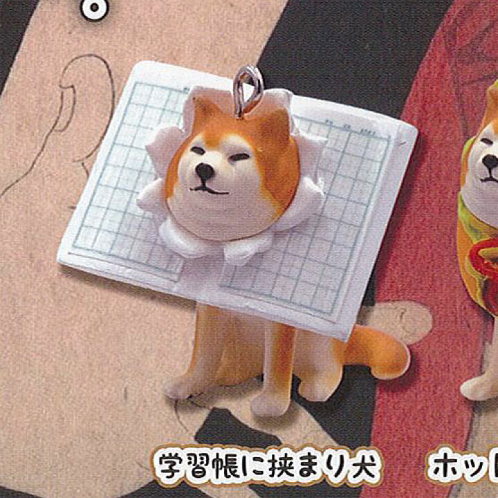 楽天市場 挟まり 犬 3 マスコット ボールチェーン 1 学習帳に挟まり犬 Qualia ガチャポン ガチャガチャ ガシャポン 遊you 楽天市場店