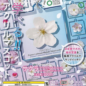 サイエンス テクニカラー サクラ アクリル マスコット 全8種+ディスプレイ台紙セット いきもん ガチャポン ガチャガチャ コンプリート