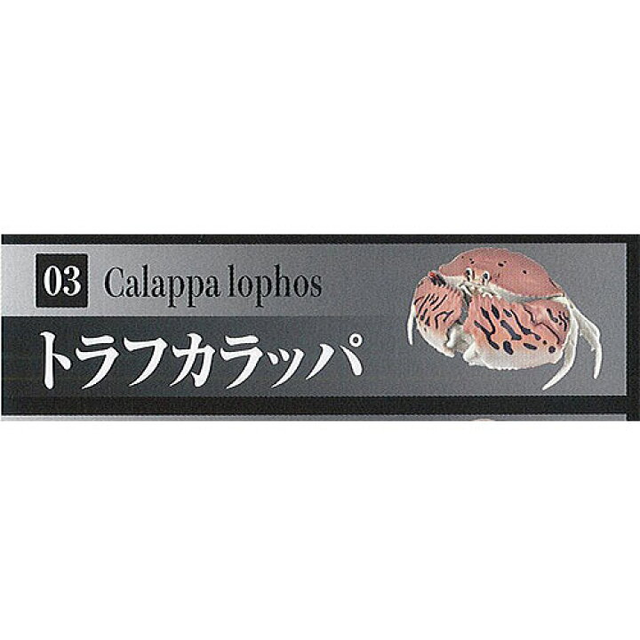 楽天市場 いきもの 大図鑑 かに Kani 3 トラフカラッパ バンダイ ガチャポン ガチャガチャ ガシャポン 遊you 楽天市場店 楽天市場 いきもの 大図鑑 かに Kani 3 トラフカラッパ バンダイ ガチャポン ガチャガチャ ガシャポン 遊you 楽天市場店
