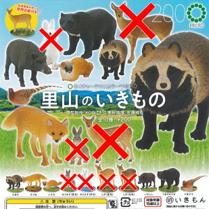 lC`[eNjJ[ MICRO R  / 6Zbg  K`| K`K` KV|