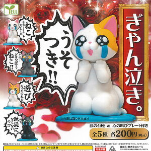   S5Zbg G[ K`| K`K` Rv[g