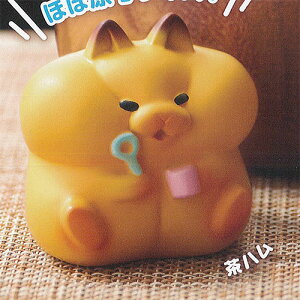 TAMA-NIMAL ڂ nX^[ 1Fn uV[h K`| K`K` KV|
