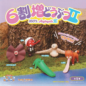 TAMA-NIMAL 6 ǂԂ 2 S5Zbg uV[h K`| K`K` Rv[g