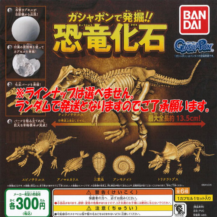 楽天市場 ガシャポンで発掘 恐竜化石 1種 バンダイ ガチャポン ガチャガチャ ガシャポン 遊you 楽天市場店