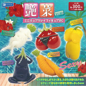  vol.2 ~j`A NC tBMA BC S5+fBXvC䎆Zbg C{[ K`| K`K` Rv[g