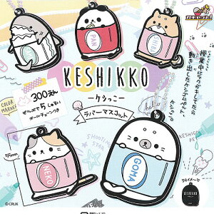 KESHIKKO PV o[ }XRbg S5+fBXvC䎆Zbg uCgN K`| K`K` Rv[g