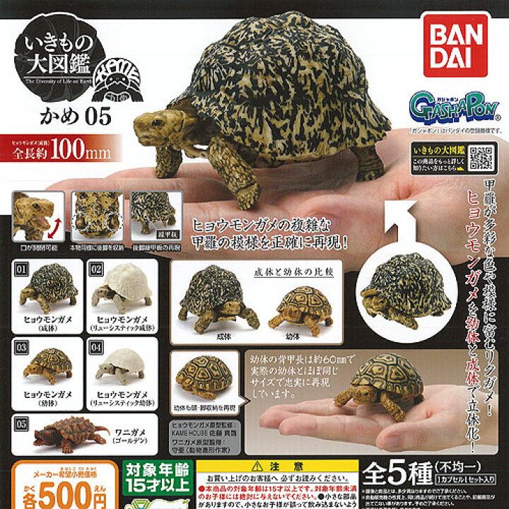 楽天市場 いきもの大図鑑 かめ 05 全5種セット バンダイ ガチャポン ガチャガチャ ガシャポン 遊you 楽天市場店