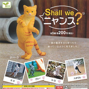 shall we jX S5Zbg G[ K`| K`K` Rv[g