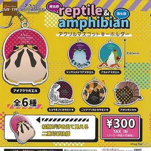 v^C  AtBrA AN }XRbg L[z_[ S6Zbg SO-TA K`| K`K` Rv[g