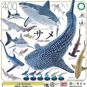 lC`[ eNjJ[ 400 T S6+fBXvC䎆Zbg  K`| K`K` Rv[g