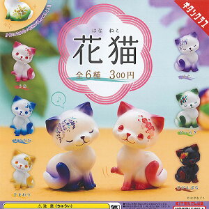 ԔL ͂Ȃ˂ S6Zbg 权Nu K`| K`K` KV| Rv[g tBMA