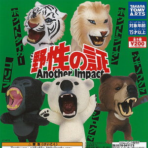 �쐫�̏� Another Impact �S5��+�f�B�X�v���C�䎆�Z�b�g �^�J���g�~�[�A�[�c �K�`���|�� �K�`���K�`�� �R���v���[�g