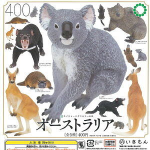 lC`[ eNjJ[ 400 I[XgA S5+fBXvC䎆Zbg  K`| K`K` Rv[g