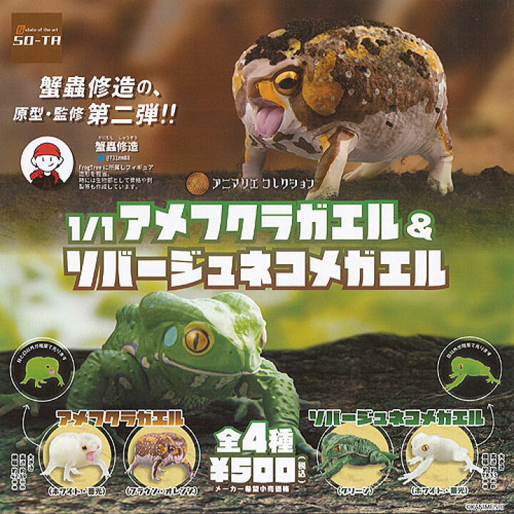 楽天市場 1 1 アメフクラガエル ソバージュネコメガエル 全4種セット So Ta ガチャポン ガチャガチャ ガシャポン 遊you 楽天市場店