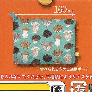 A[gjueNjJ[ nocco ̂ G RNV 2 5FHׂ邫̂|[`  K`| K`K` KV|