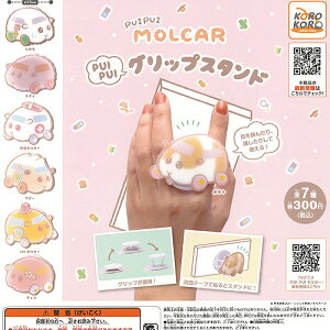 PUIPUI J[ PUIPUI ObvX^h S7+fBXvC䎆Zbg ACs[tH[ K`| K`K` Rv[g