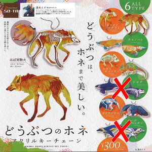 ǂԂ̃zl AN L[`F[ / 4Zbg SO-TA K`| K`K` KV|