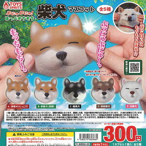 �Ղɂ�Ղɂ� �ق��� �������� �Č� �}�X�R�b�g �S5��Z�b�g �g�C�Y�X�s���b�c �K�`���|�� �K�`���K�`�� �R���v���[�g