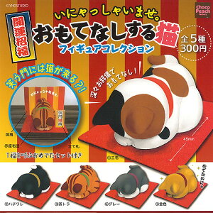 ɂႢ܂ ĂȂ L tBMA RNV S5Zbg r[ K`| K`K` Rv[g